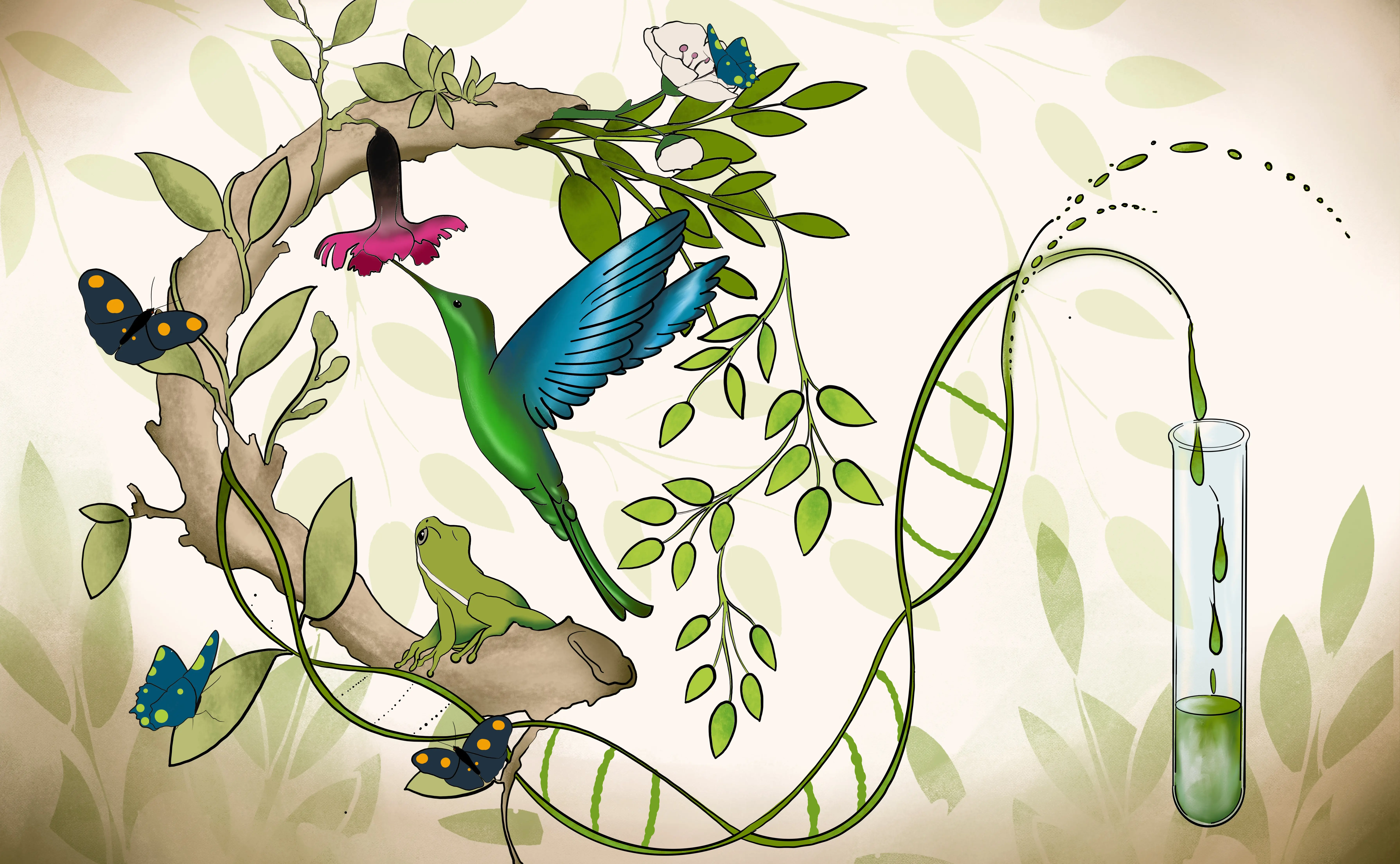 Nature Coding Path Is Nature’s code just a commodity to be traded? | Smith School of ...