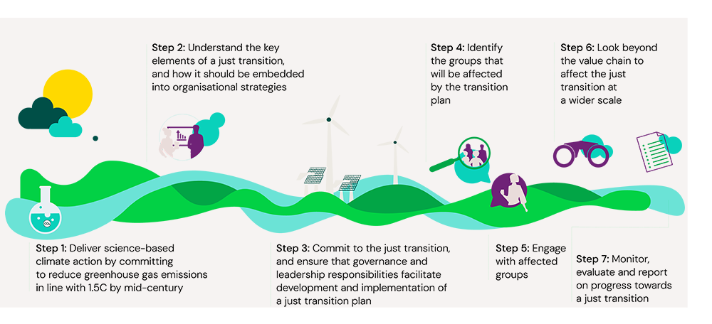 seven-step roadmap to help businesses identify and engage with groups affected by transition plans, co-create fair outcomes, and strengthen resilience.