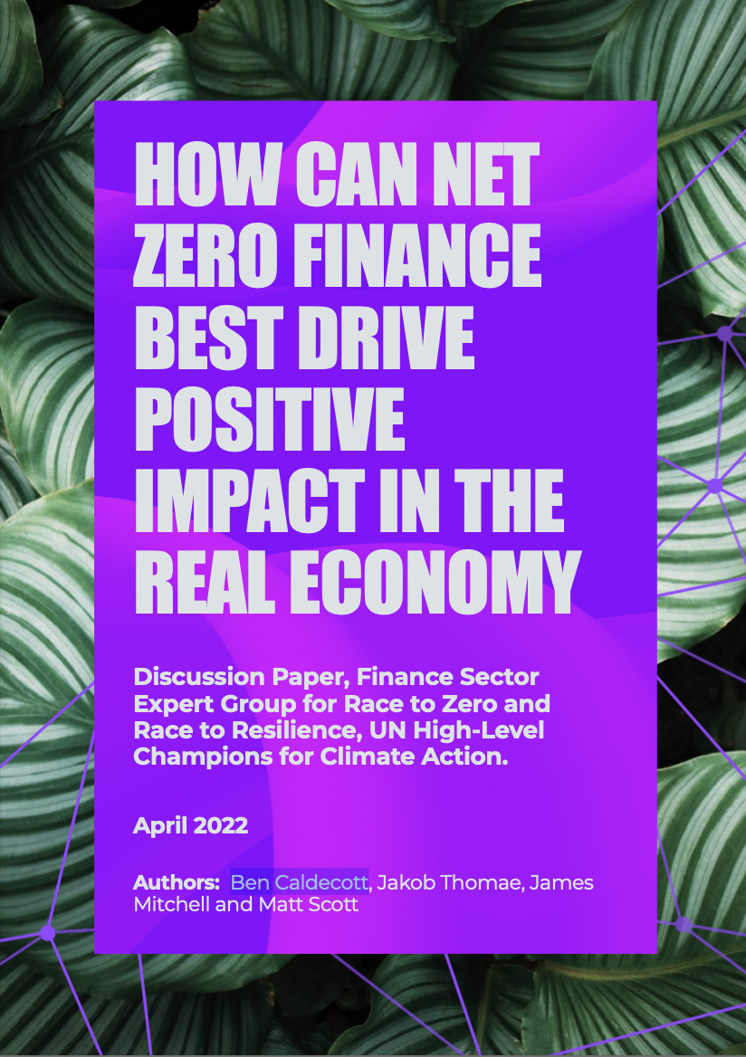 How can net zero finance best drive positive impact in the real economy