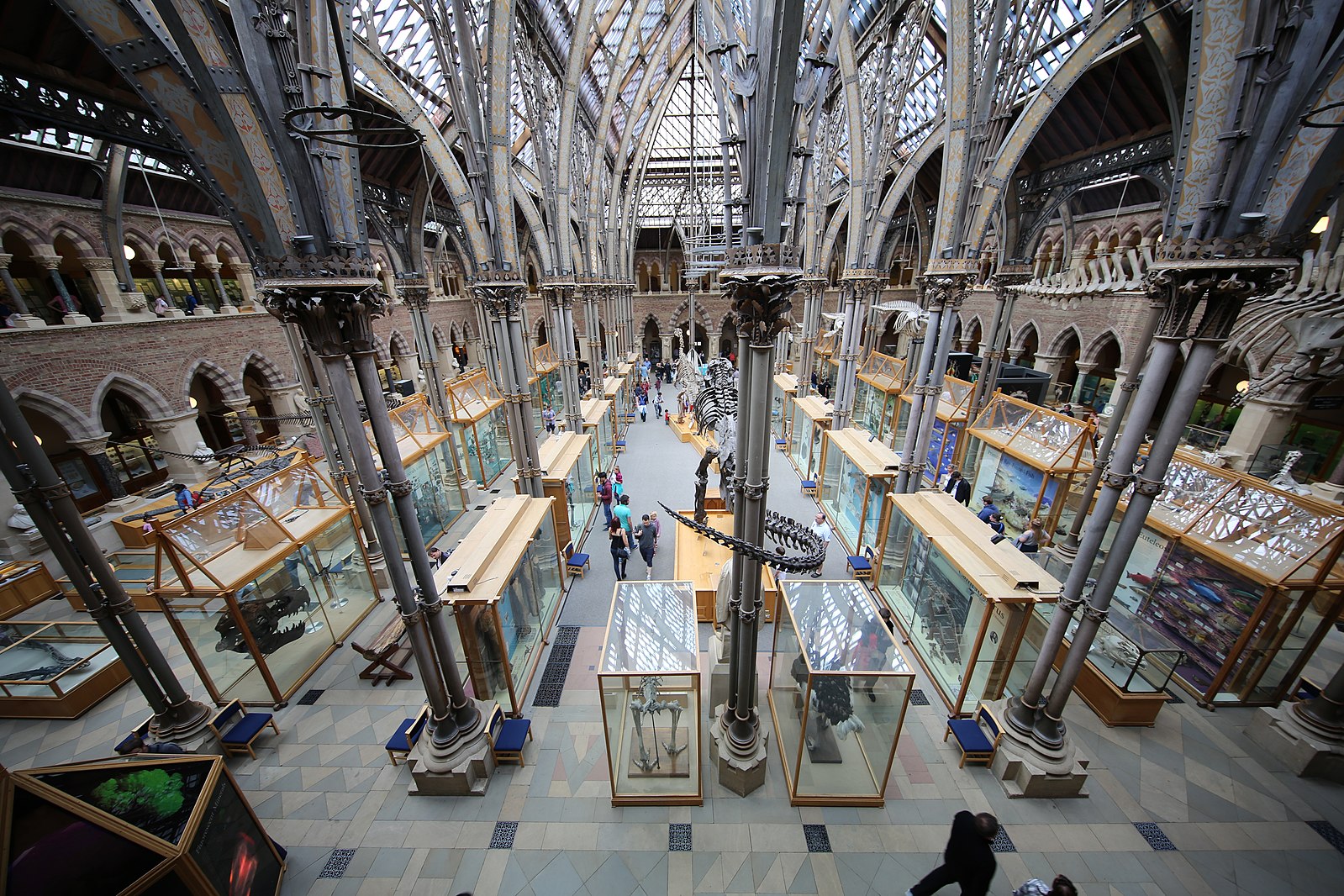 Oxford Museum of Natural History