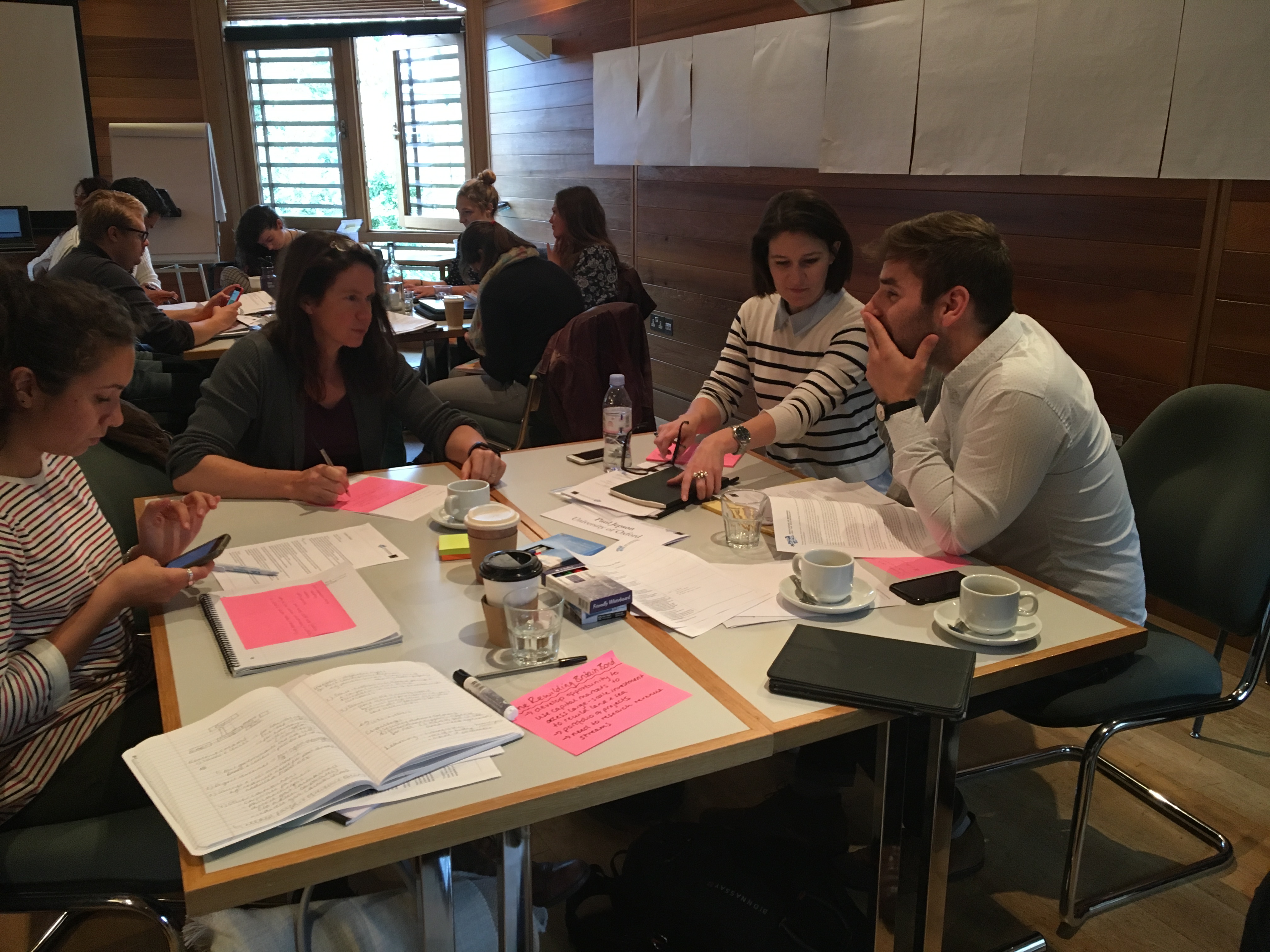 Sustainable Finance Executive Programme (SFEP) 2016