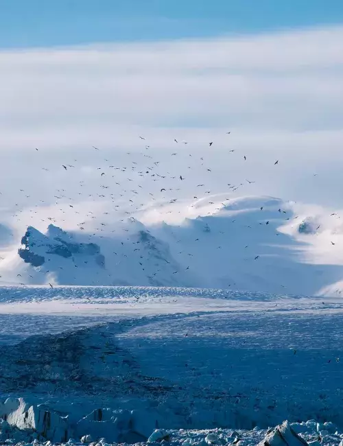 Arctic landscape