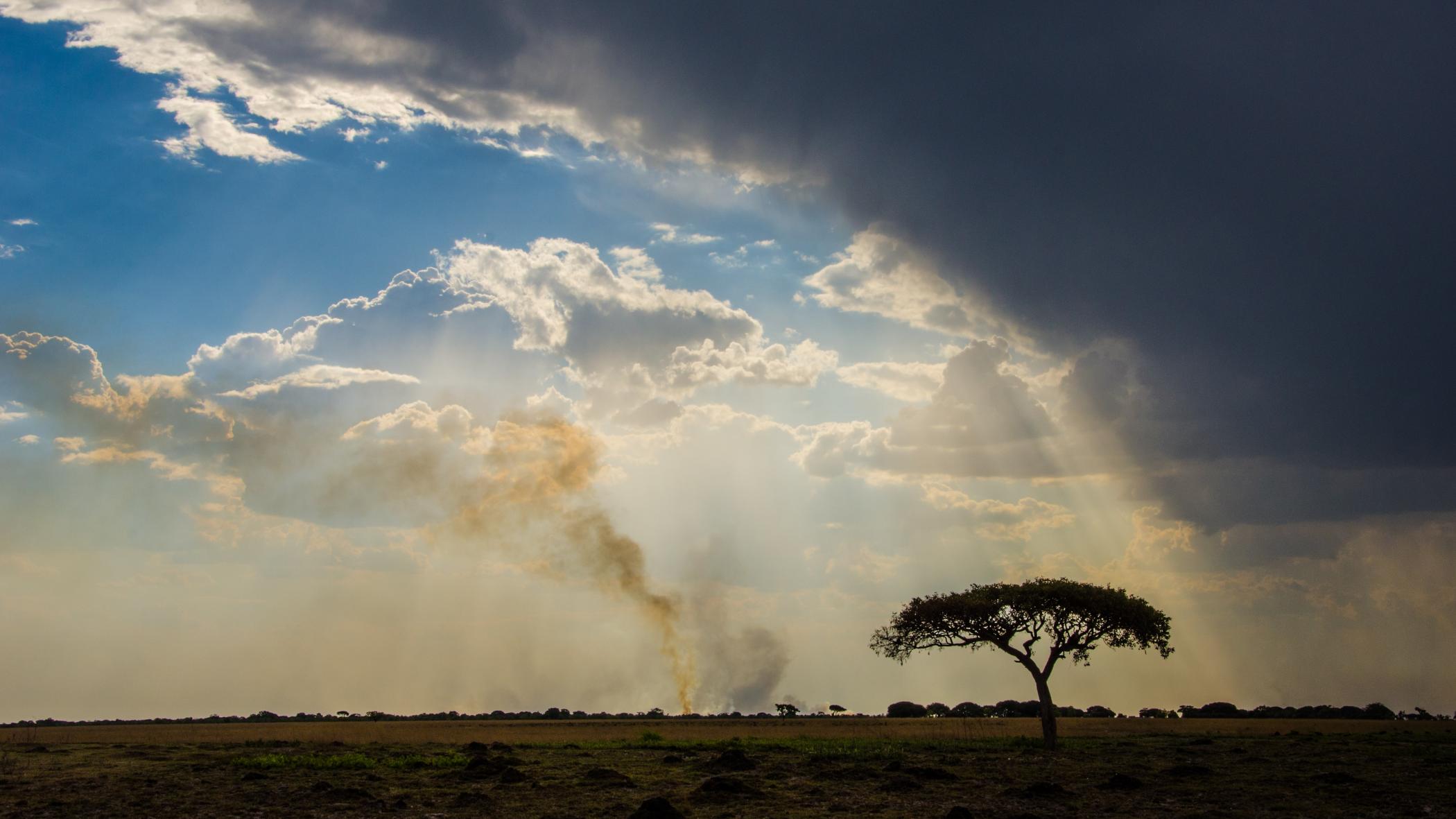 image of dark cloud over sunny weather in a Savannah