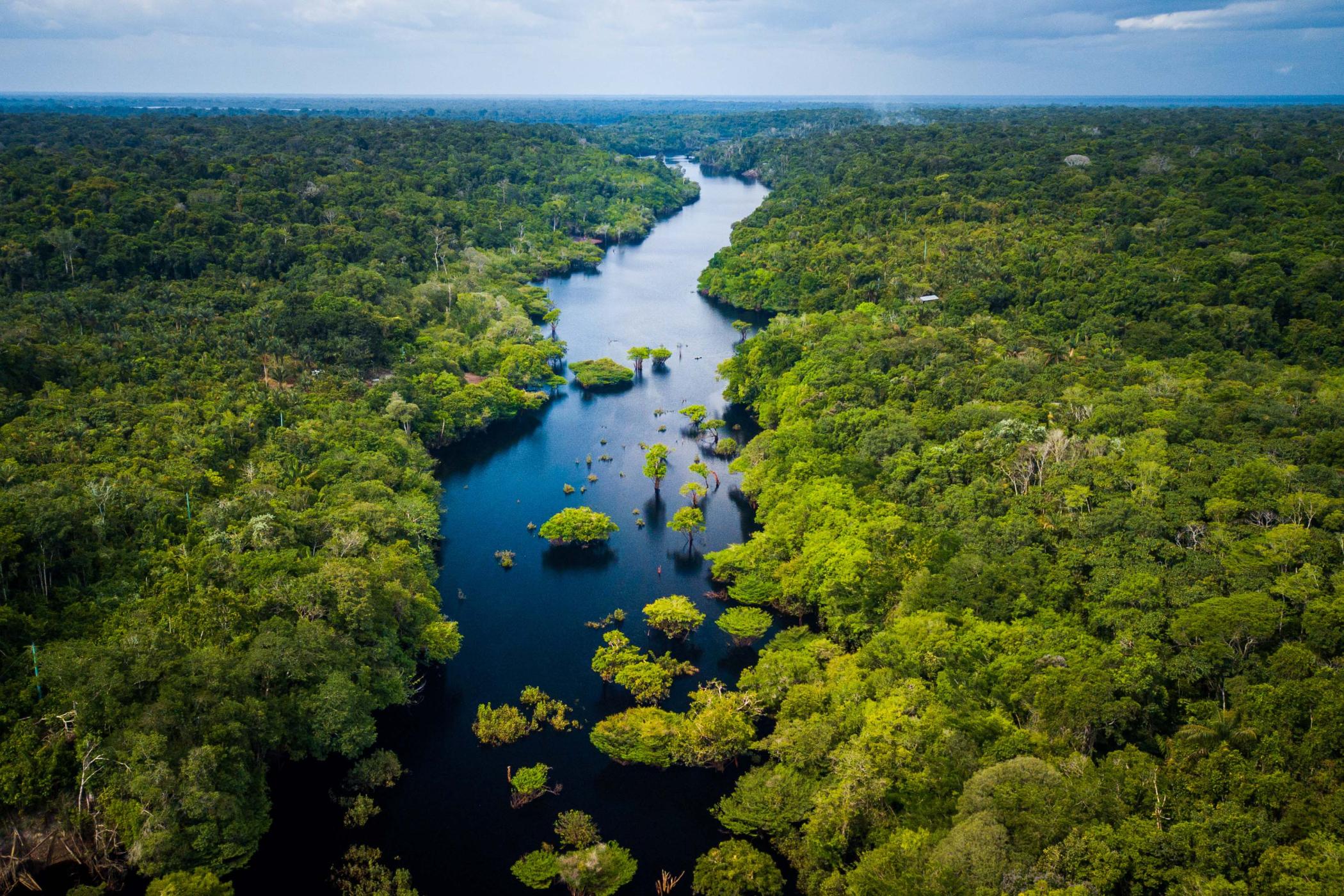Amazon river winding through the jungle, from above