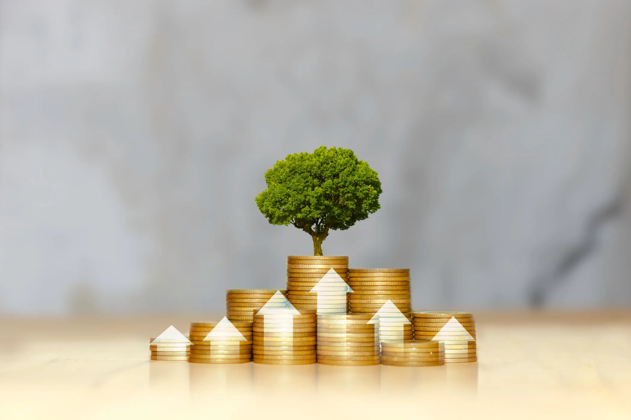 Coins with a tree growing out the top 