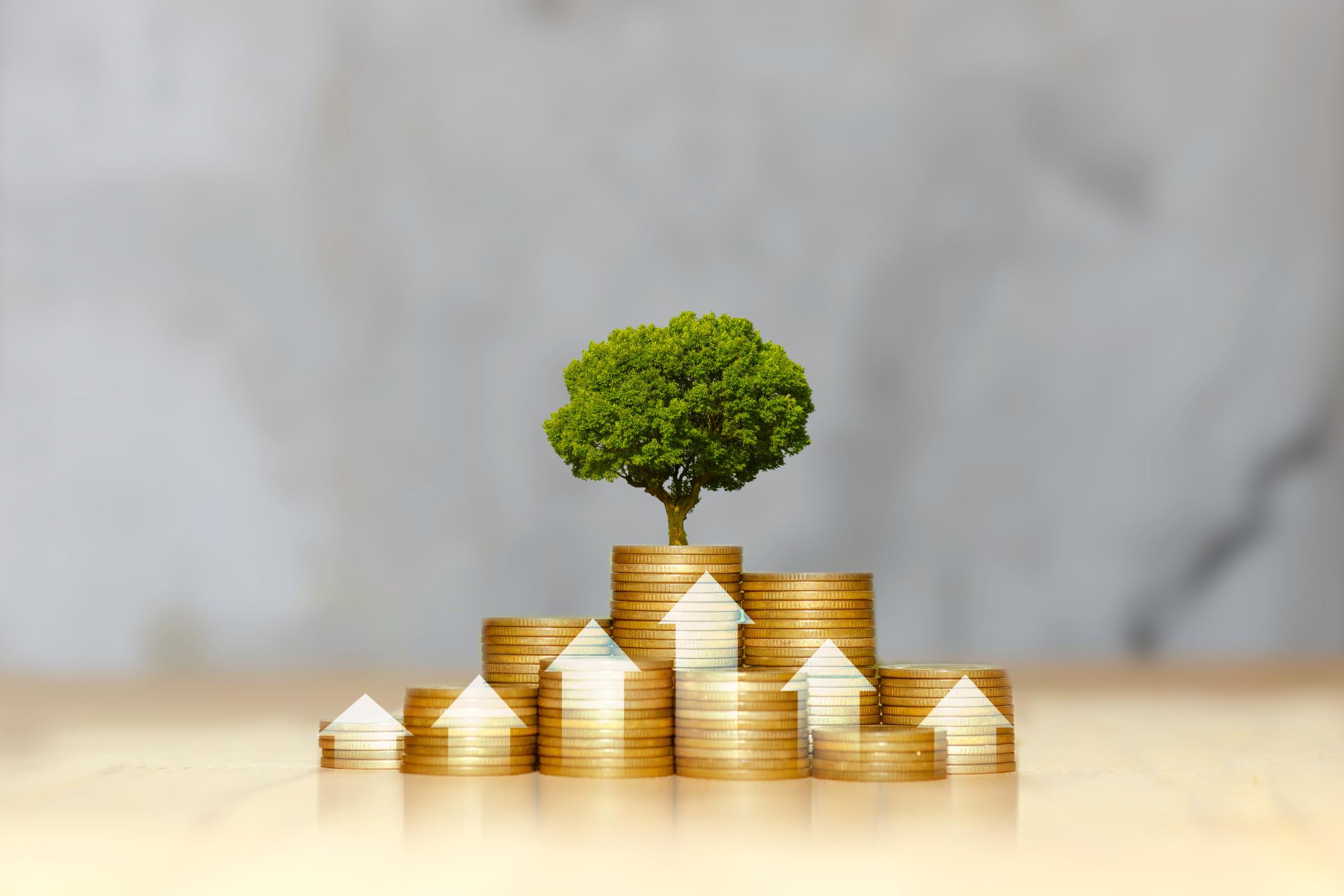 Coins with a tree growing out the top 